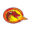 バルサドラゴンズ