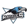Rapaces de Gap
