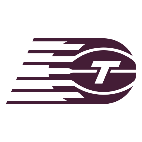 Toronto Tempo (Zh)