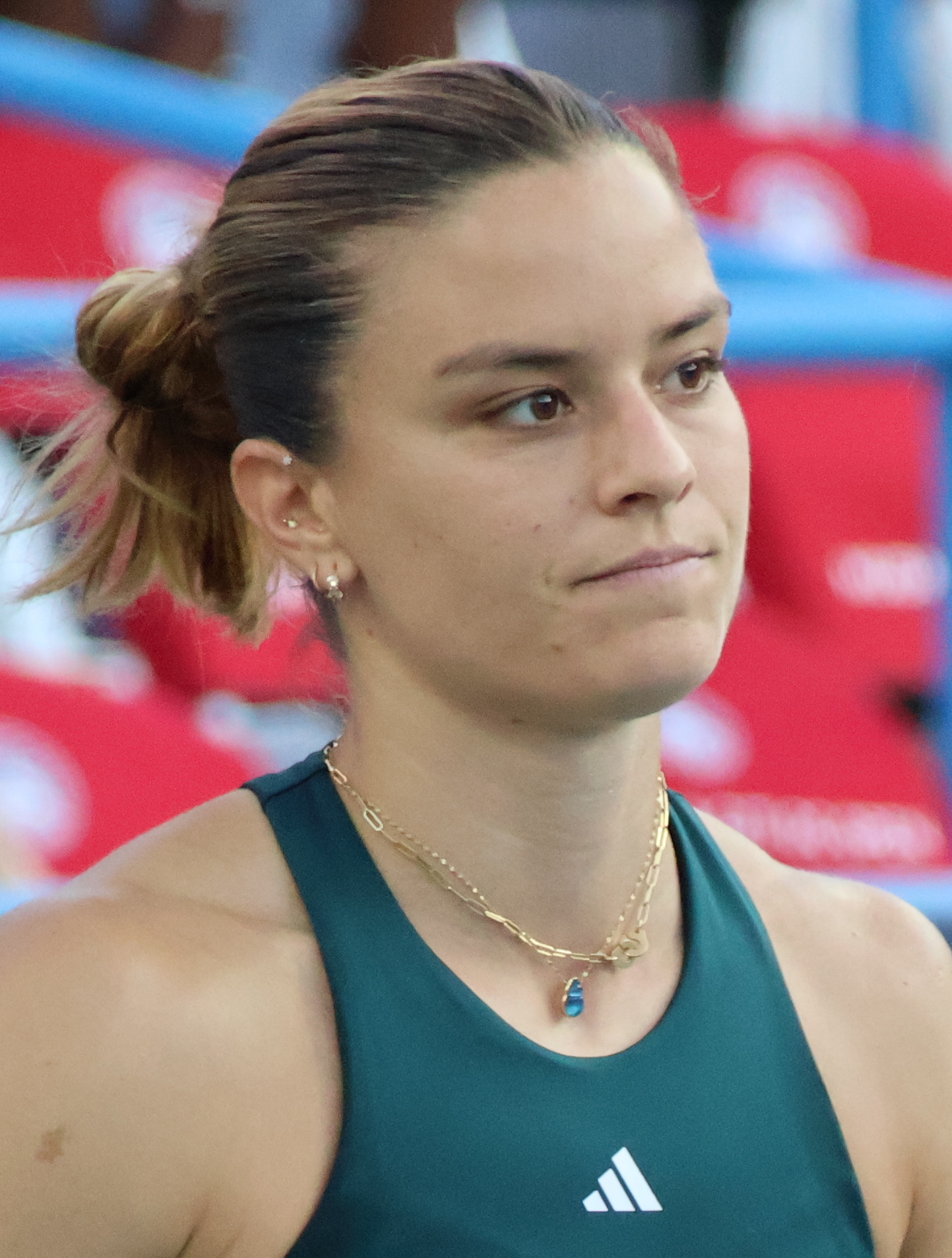 Sakkari M